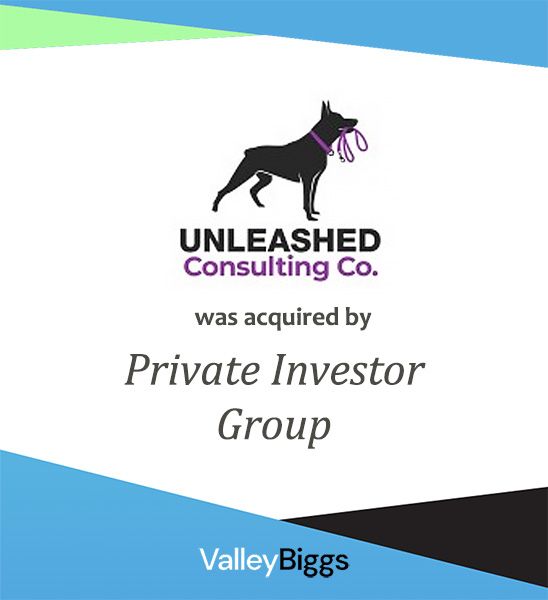 Unleashed Consulting Co : middle market company sold through ValleyBiggs